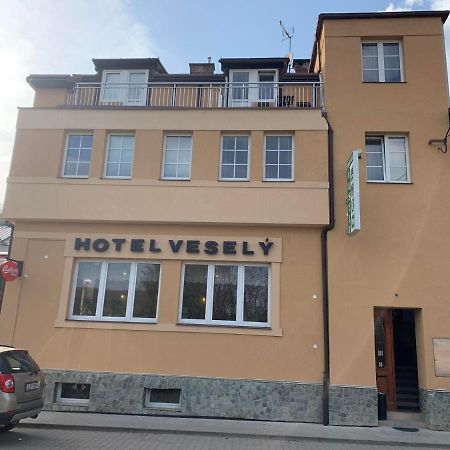 Penzion Vesely Zelezny Brod Exterior photo